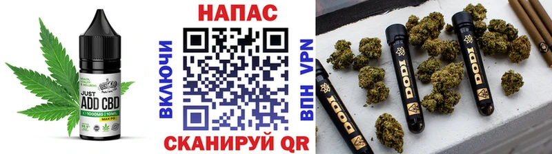 сколько стоит  Дальнереченск  MEGA как войти  Cannafood конопля 