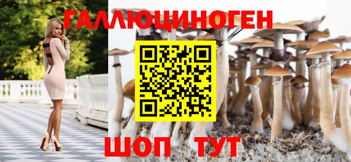 Галлюциногенные грибы MAGIC MUSHROOMS Дальнереченск